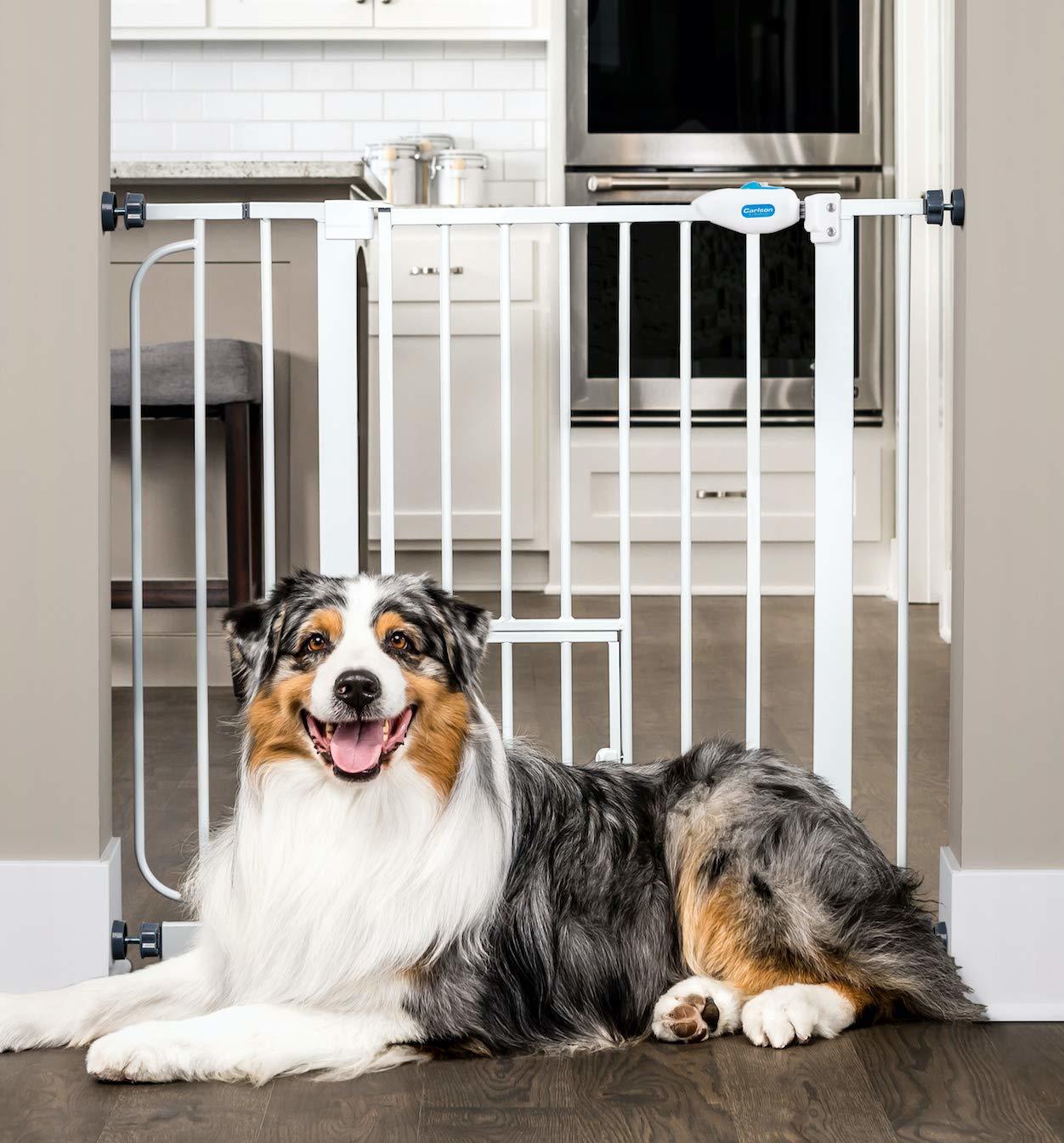 Carlson Extra Wide Walk Through Pet Gate with Small Pet Door Review