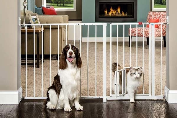 best baby gate with pet door
